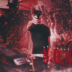 N.O.N (feat. ZEE BYE & 24ADVENT)