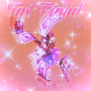 Tax Fraud - Single