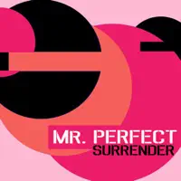 Surrender — Mr. Perfect
