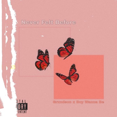 Never Felt Before (feat. Boy Wanna Be) - Single