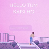 Hello Tum Kaisi Ho - Single - Sk Eklakh