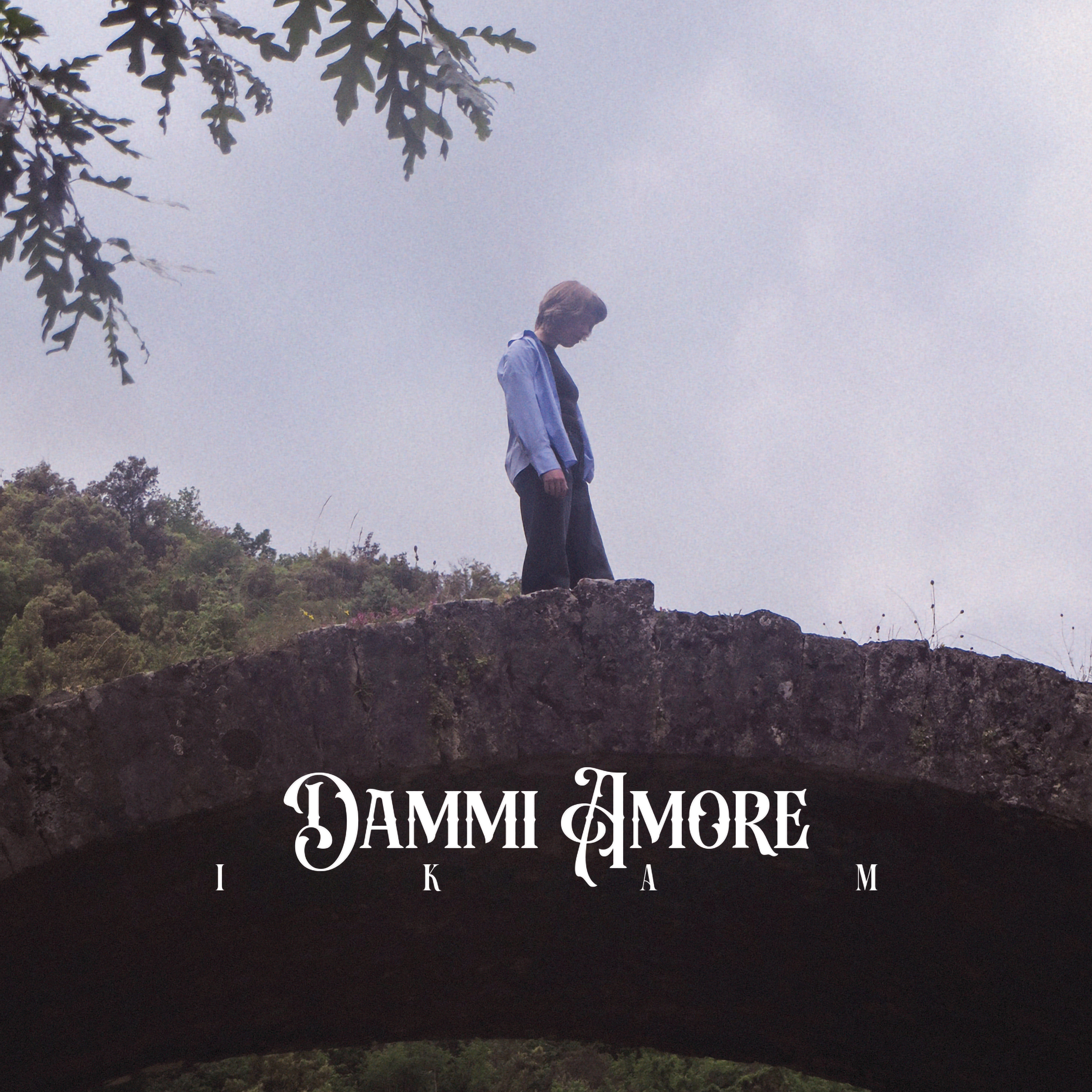 Dammi amore