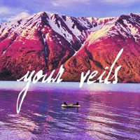 your veils (feat. Cert) - Single - New Vew Dew