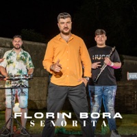 Senorita - Single - Florin Bora