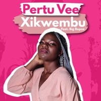Xikwembu (feat. Big Ropza) - Single - Pertu Vee