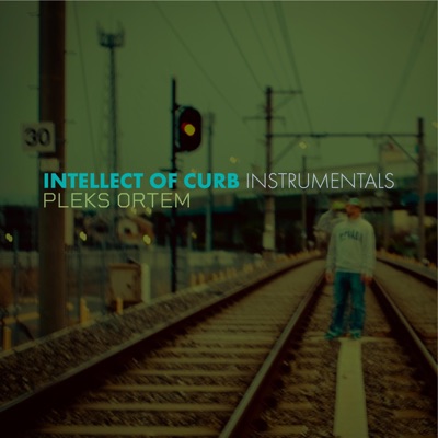 Intellect Of Curb Instrumentals (Instrumental)