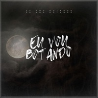 Eu Vou Botando (feat. DJ Andre Marques) - Single - Dj Dg Do Sn