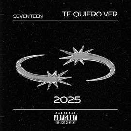 TE QUIERO VER Seventeen