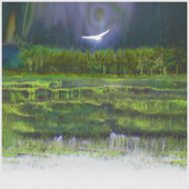 MANGROVES: Wet Meadow