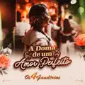 A doma de um amor perfeito