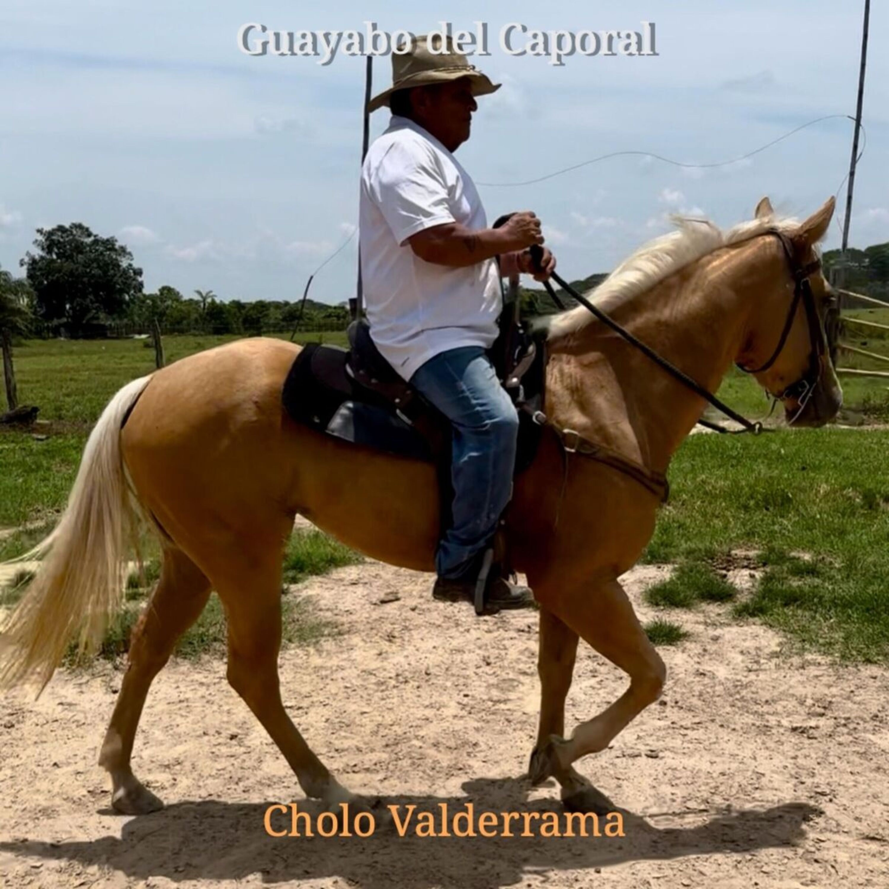 Cholo Valderrama - Guayabo del Caporal
