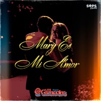 Mary Es Mi Amor - Single - Los Súper Caracoles