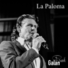 Frank Galan - La Paloma Grafik