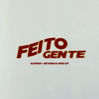 Feito Gente (Versões) - Single - Wel
