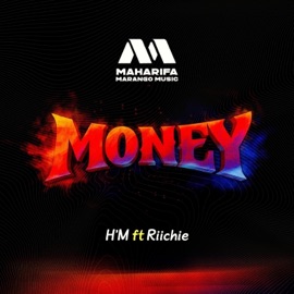 Money (feat. Riichie) H' M