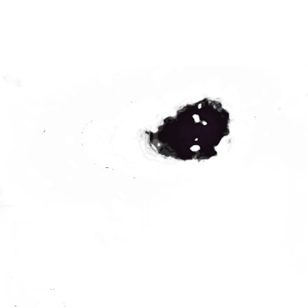 エクスペリメンタル -プレイリスト - Apple Music