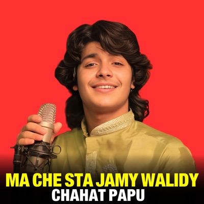 Ma Che Sta Jamy Walidy - Single