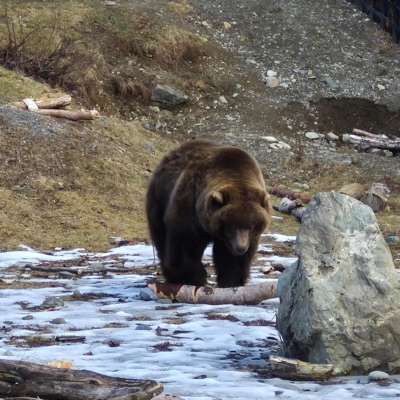 i don't miss you (feat. WHY) - Single