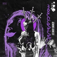 NARCISSIST - Single - Gemini Genesis