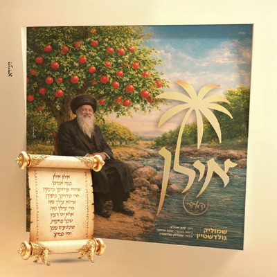 אילן - Single