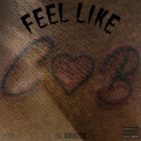 Feel Like CB - Single - Swaggyp