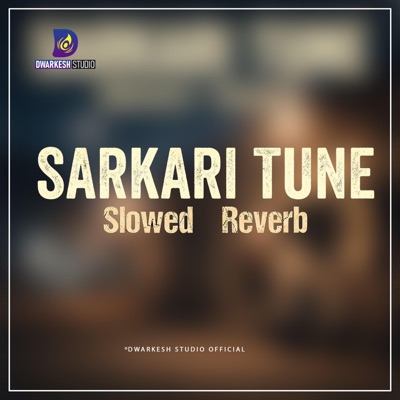 Sarkari Tune Slowed + Reverb - Single