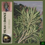 Yeah I Smoke (feat. Double E & Strait 28) - Single