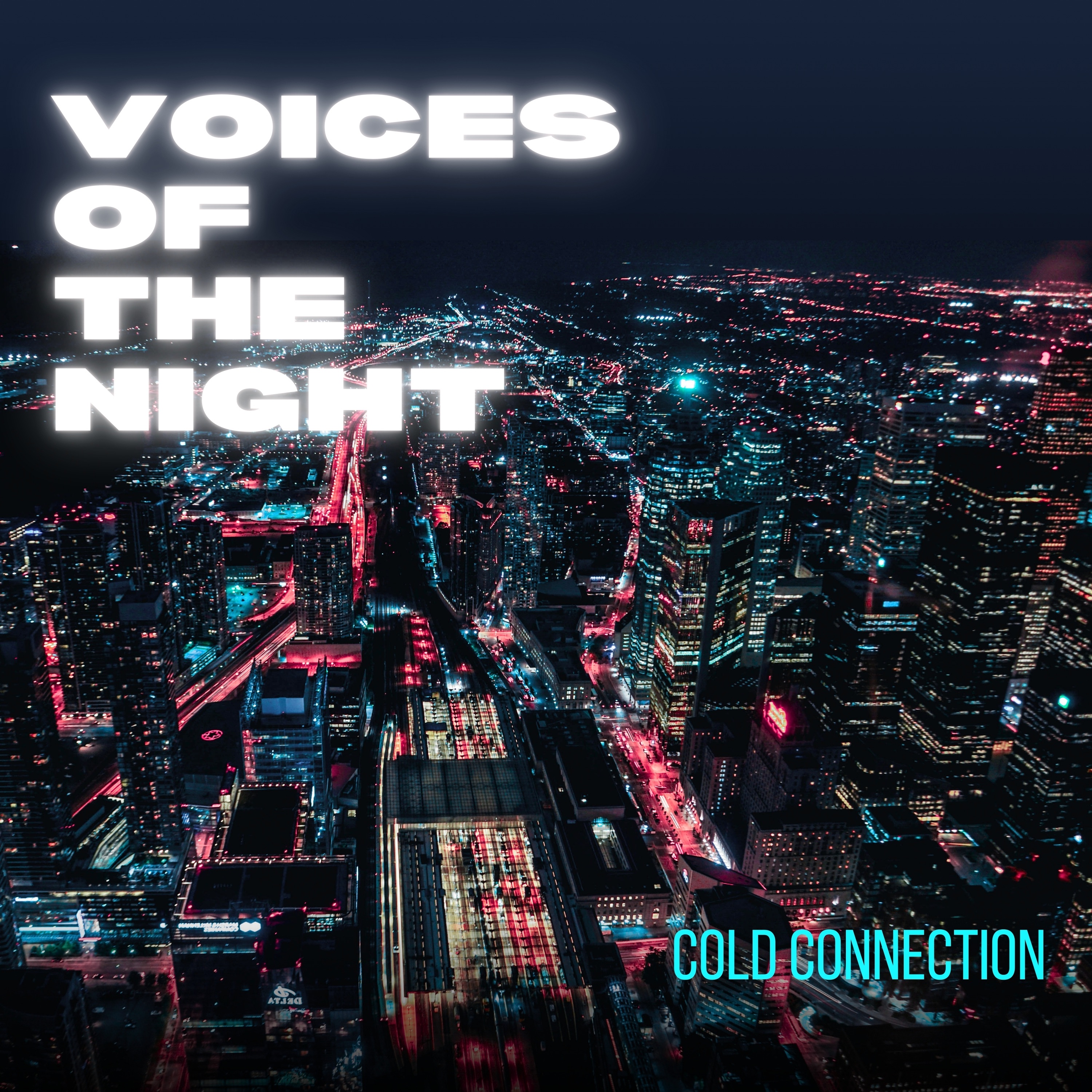 Voices Of The NIght - Single