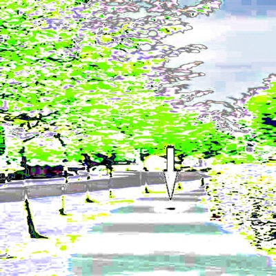 CELL OF NOTHING - Single