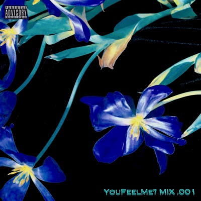YouFeelMe? Mix .001 - EP