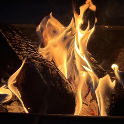 the arson - Single