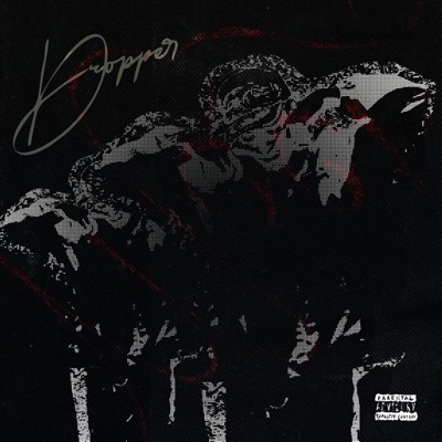 ZSZN (Freestyle) - Single