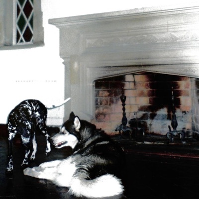 PEINES SINCÈRES&FAUSSES JOIES - Single