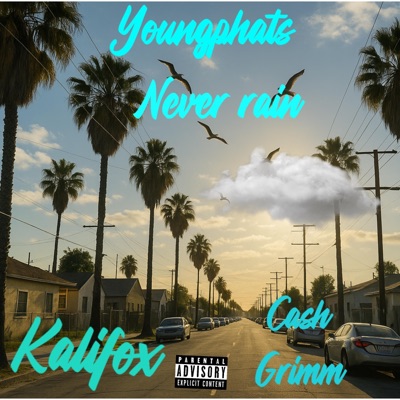 Never Rain (feat. Kalifox & Cash GriMM) - Single