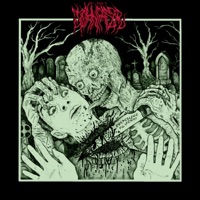 Escrescenze filiformi - Single - John Faser