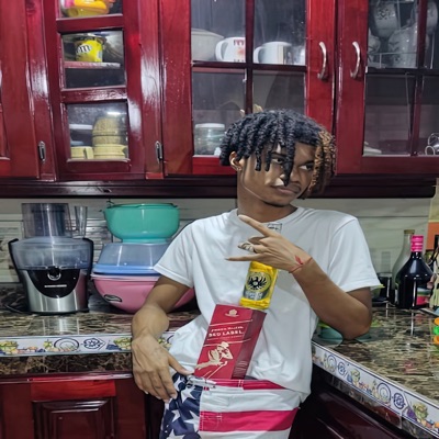 Fiesta Vibes - Single