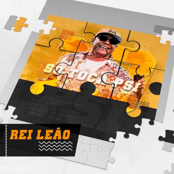 Rei Leão