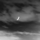 Quinnbond BÖRSCHT Take You Higher EP