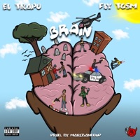 Brain - Single