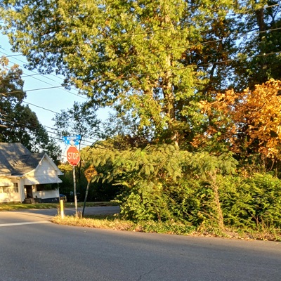 My Mind And Pride - Single