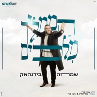 הממליך מלכים - Single - Simcha Birnhack