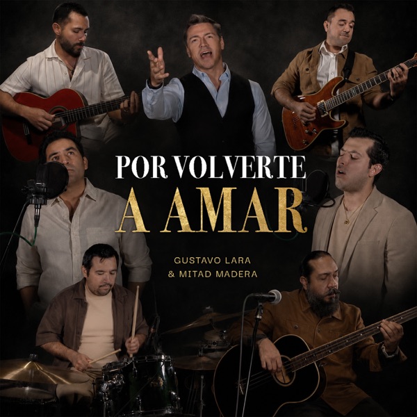 Por Volverte a Amar