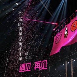 你说的再见是再也不见 (伴奏) 晨小歪