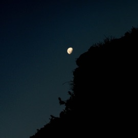 different world Hillscus & Symoo