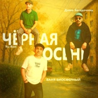 Чёрная осень - Single - Ваня Биосферный, Дмитрий Загадочник & Yu-Ron