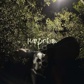 напрокат MYHA