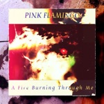 Pink Flamingo - A New Way To Say Hello