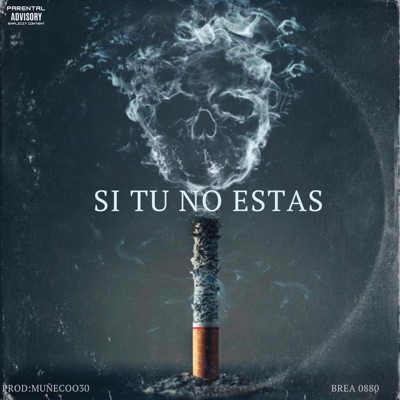 SI TU NO ESTAS - Single