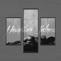 Постеры - Single - Hawaiian Sadness