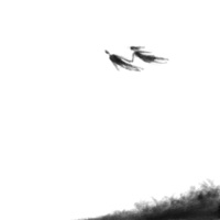 Hovering - Single - Niv Klil Hahoresh & Aviel Sultan